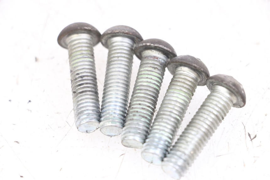 photo de BRAKE DISC BOLT PEUGEOT GEOPOLIS RS 125 (2007 - 2009) - Zoom on usage condition