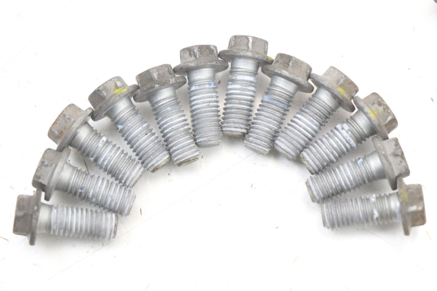 photo de BRAKE DISC BOLT MOTO GUZZI NORGE 8V GT 1200 (2011 - 2016) - Zoom on usage condition