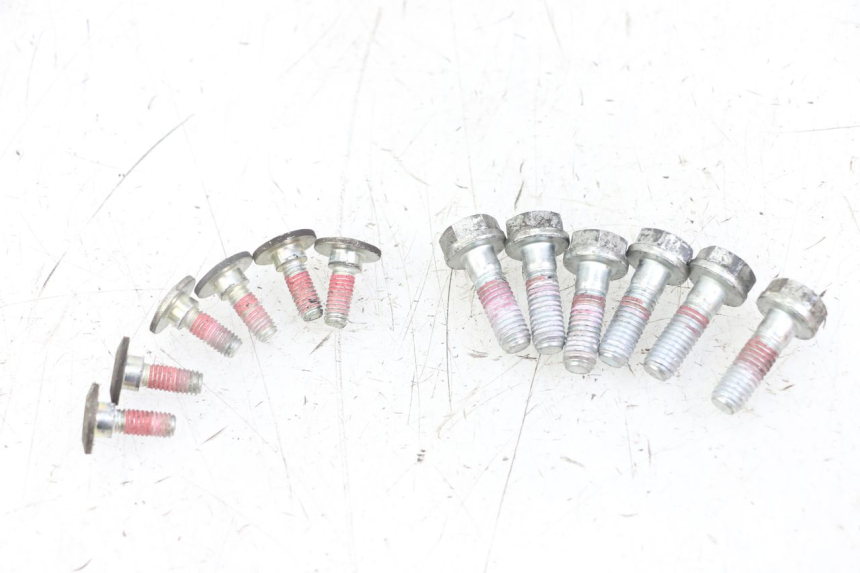 photo de BRAKE DISC BOLT ROYAL ENFIELD HYMALAYAN 410 (2016 - 2023) - Main view