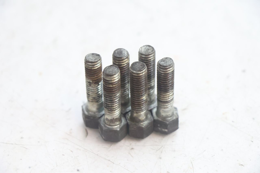 photo de BRAKE DISC BOLT YAMAHA XV VIRAGO 535 (1988 - 2004) - Zoom on usage condition